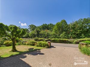 Driveway- click for photo gallery
